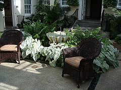 110 Longwood Gardens [2008 August 23]